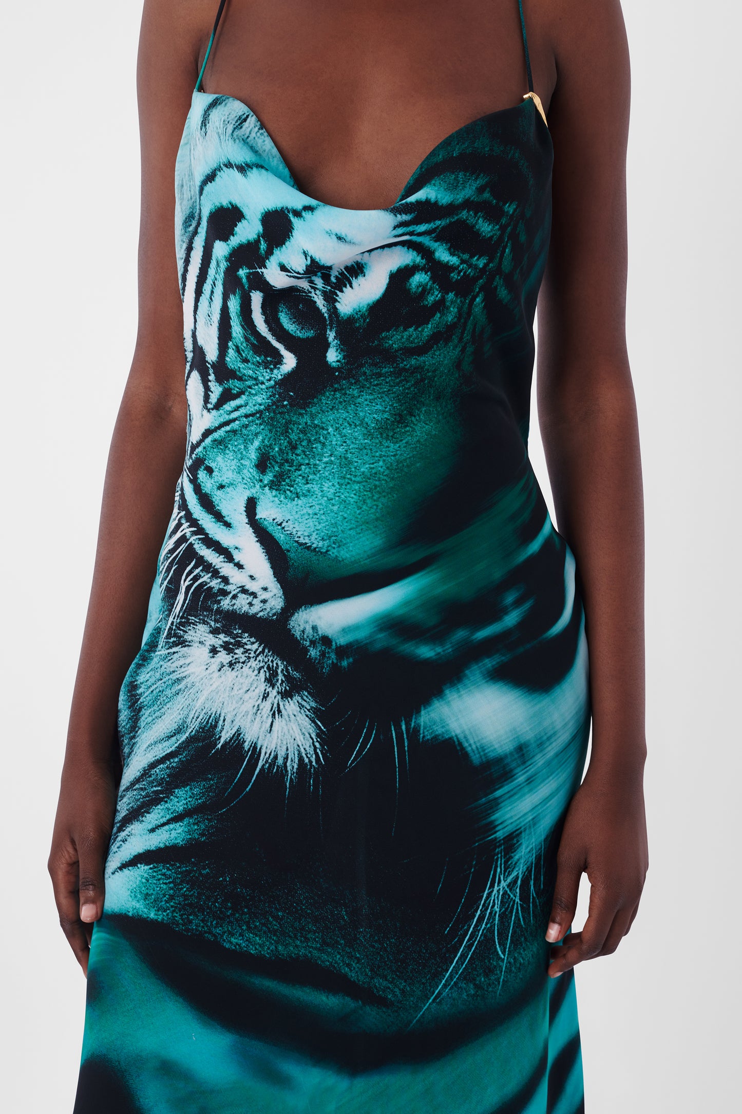 S/S 2022 Blue Tiger Dress