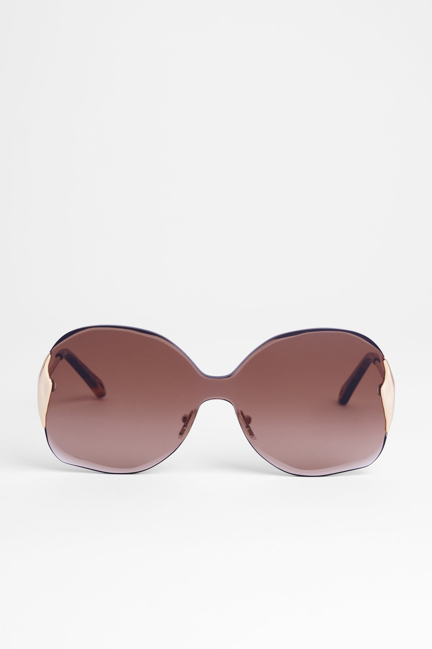 Deadstock 2021 Oversize Brown Sunglasses