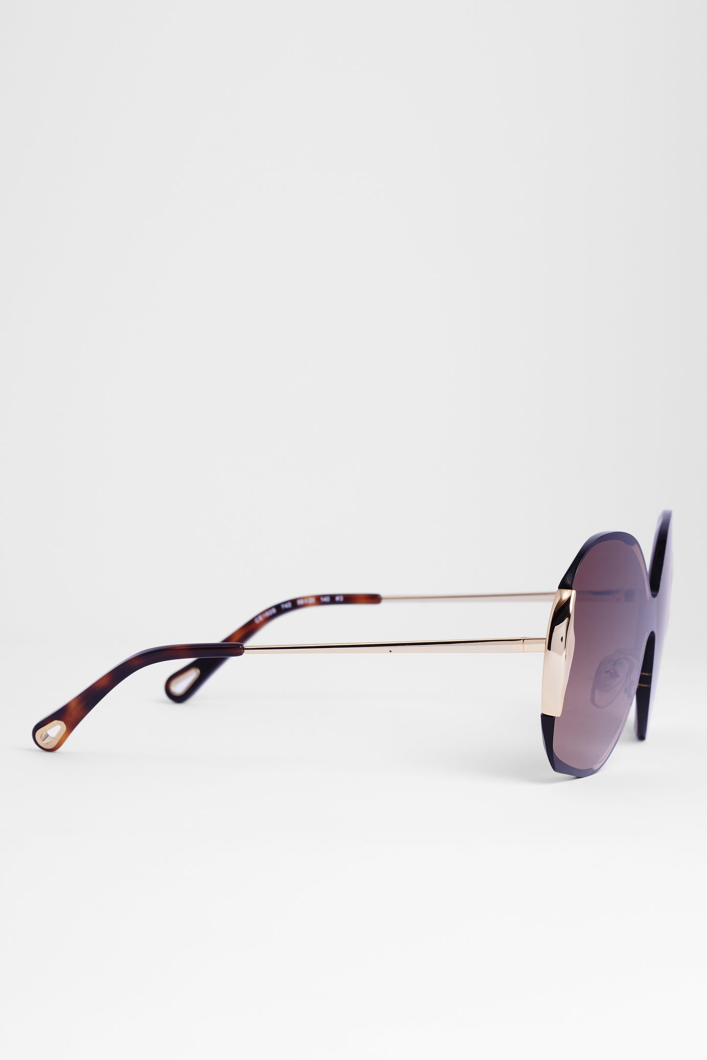 Deadstock 2021 Oversize Brown Sunglasses