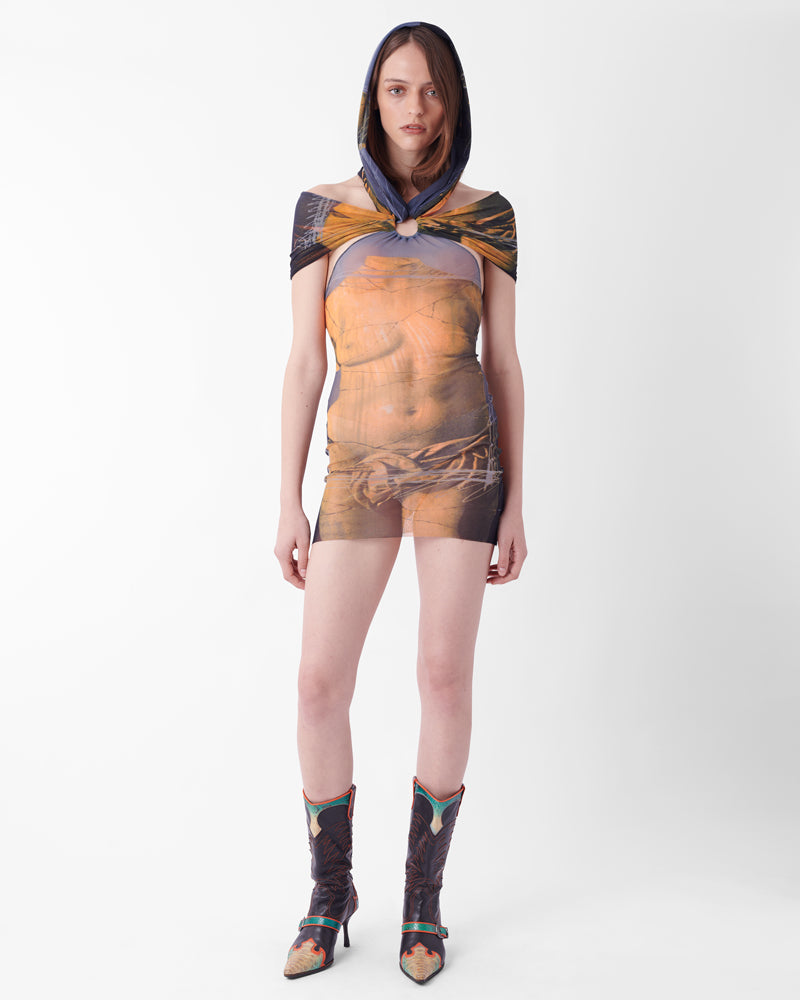 Vintage S/S 1999 Iconic Venus Print Mesh Dress