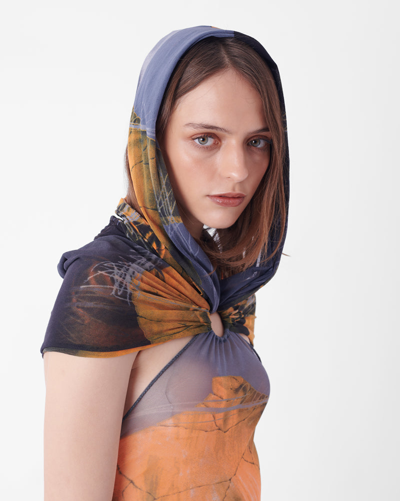 Vintage S/S 1999 Iconic Venus Print Mesh Dress