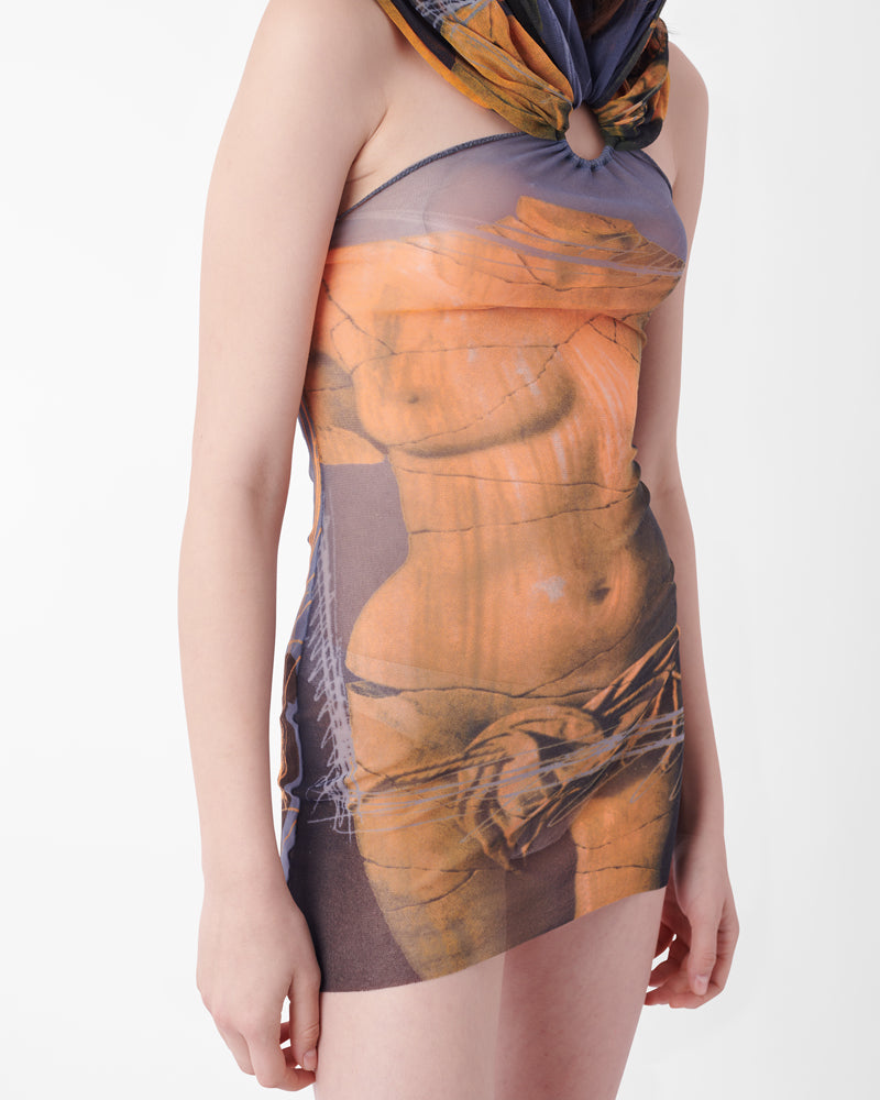 Vintage S/S 1999 Iconic Venus Print Mesh Dress