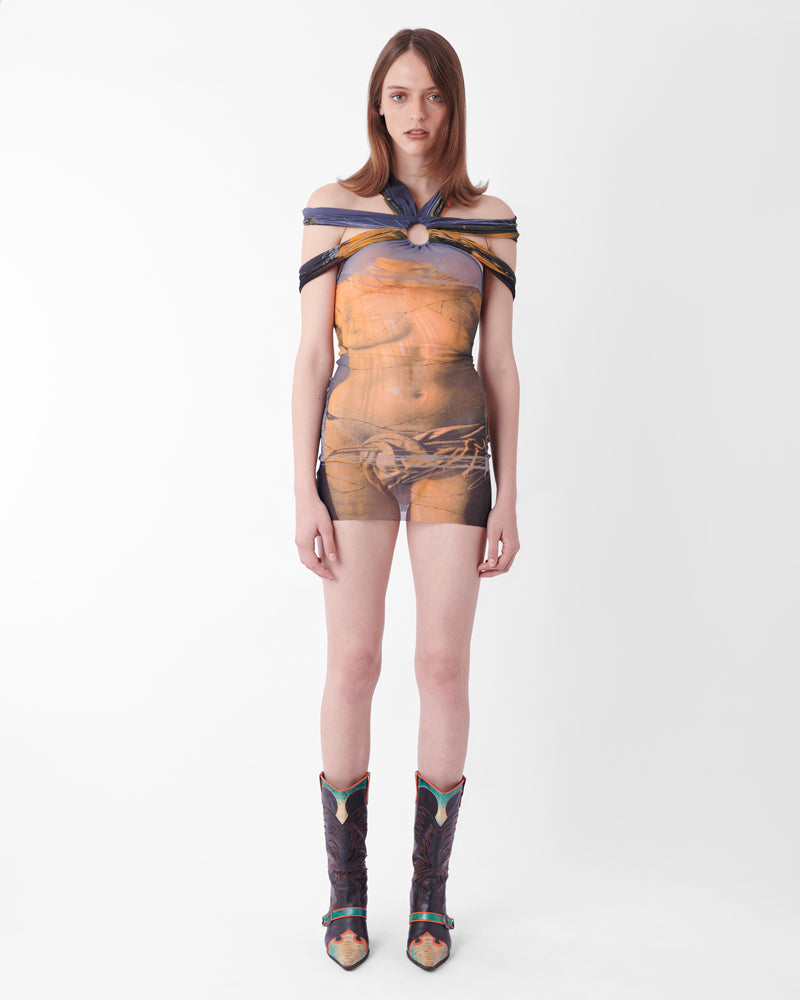 Vintage S/S 1999 Iconic Venus Print Mesh Dress