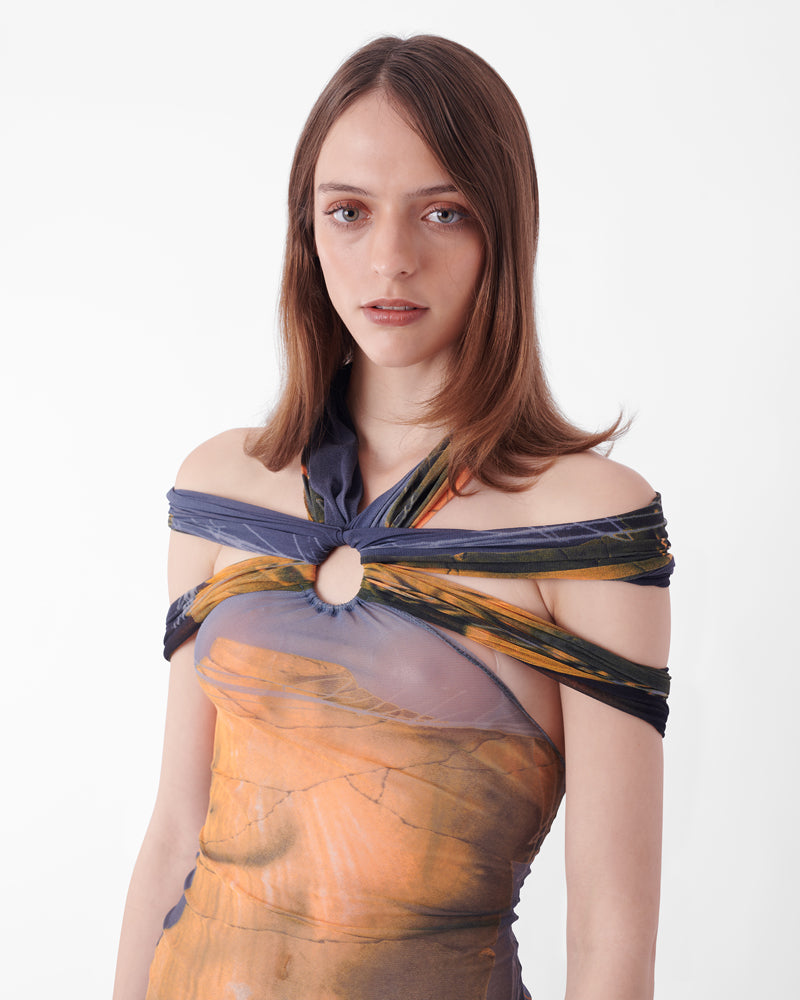 Vintage S/S 1999 Iconic Venus Print Mesh Dress