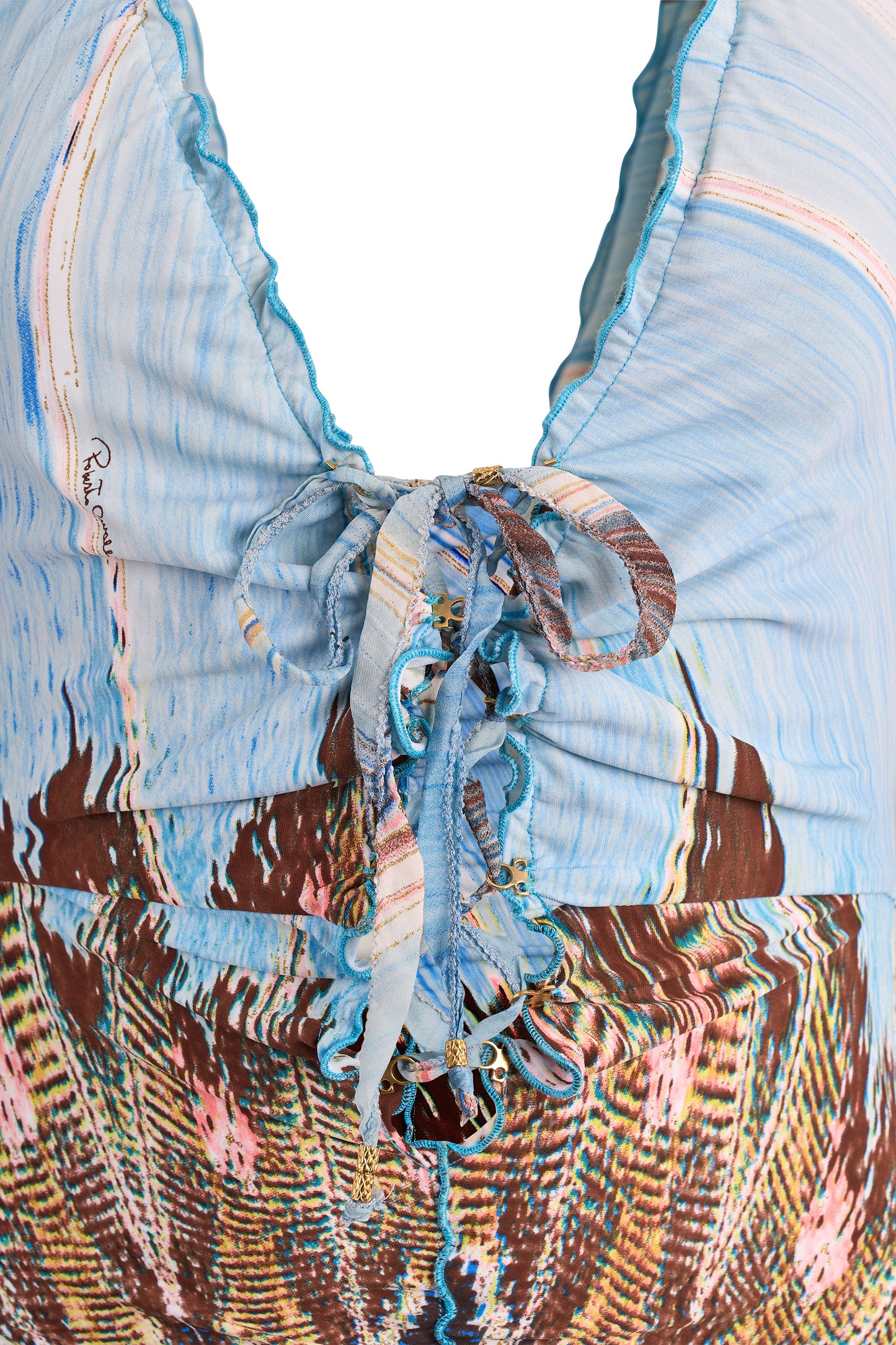 Roberto Cavalli S/S 2004 Runway Feather Print Top