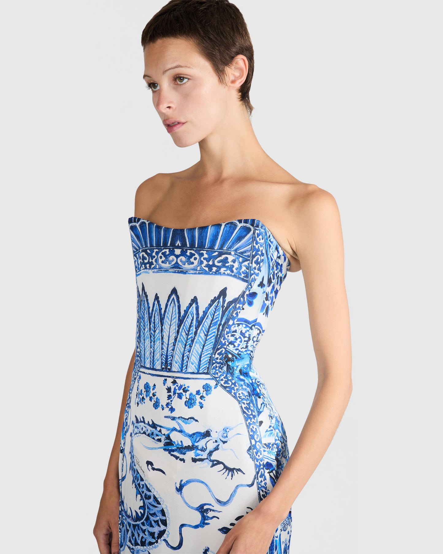 Roberto Cavalli F/W 2005-06 Ming Print Corset Gown