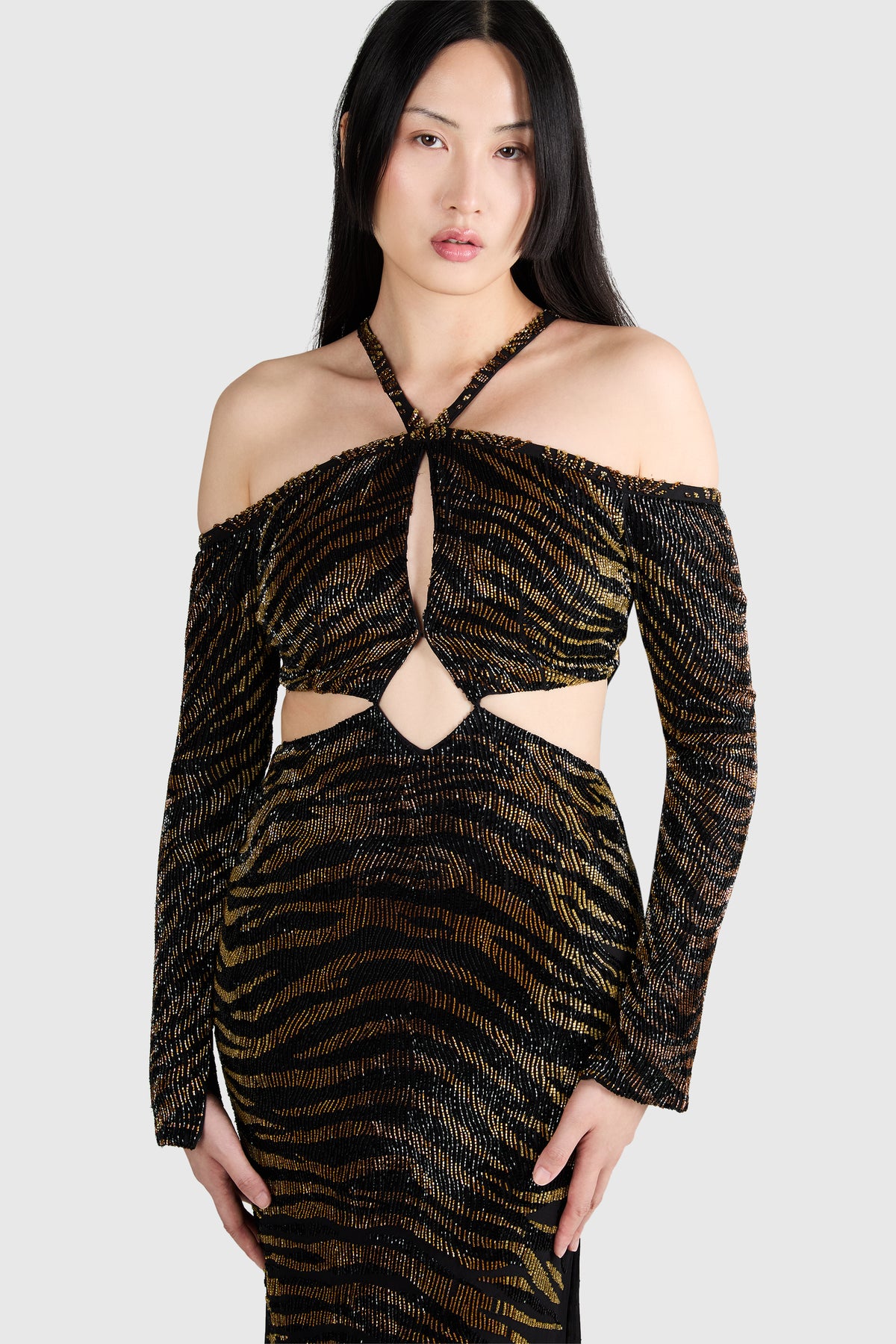 Roberto Cavalli F/W 2016 Beaded Cutout Tiger Print Gown