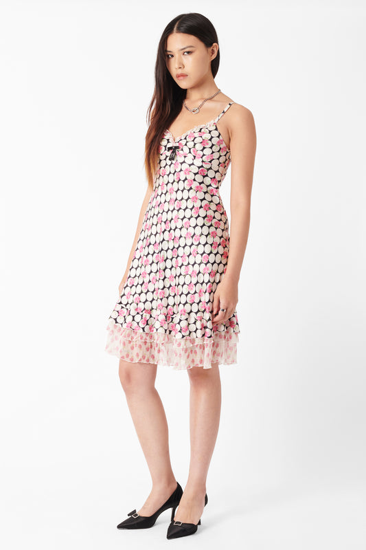 Polka Dot & Roses Mini Dress