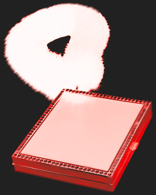 Vintage Yves Saint Laurent F/W 2004 Cigarettes Case