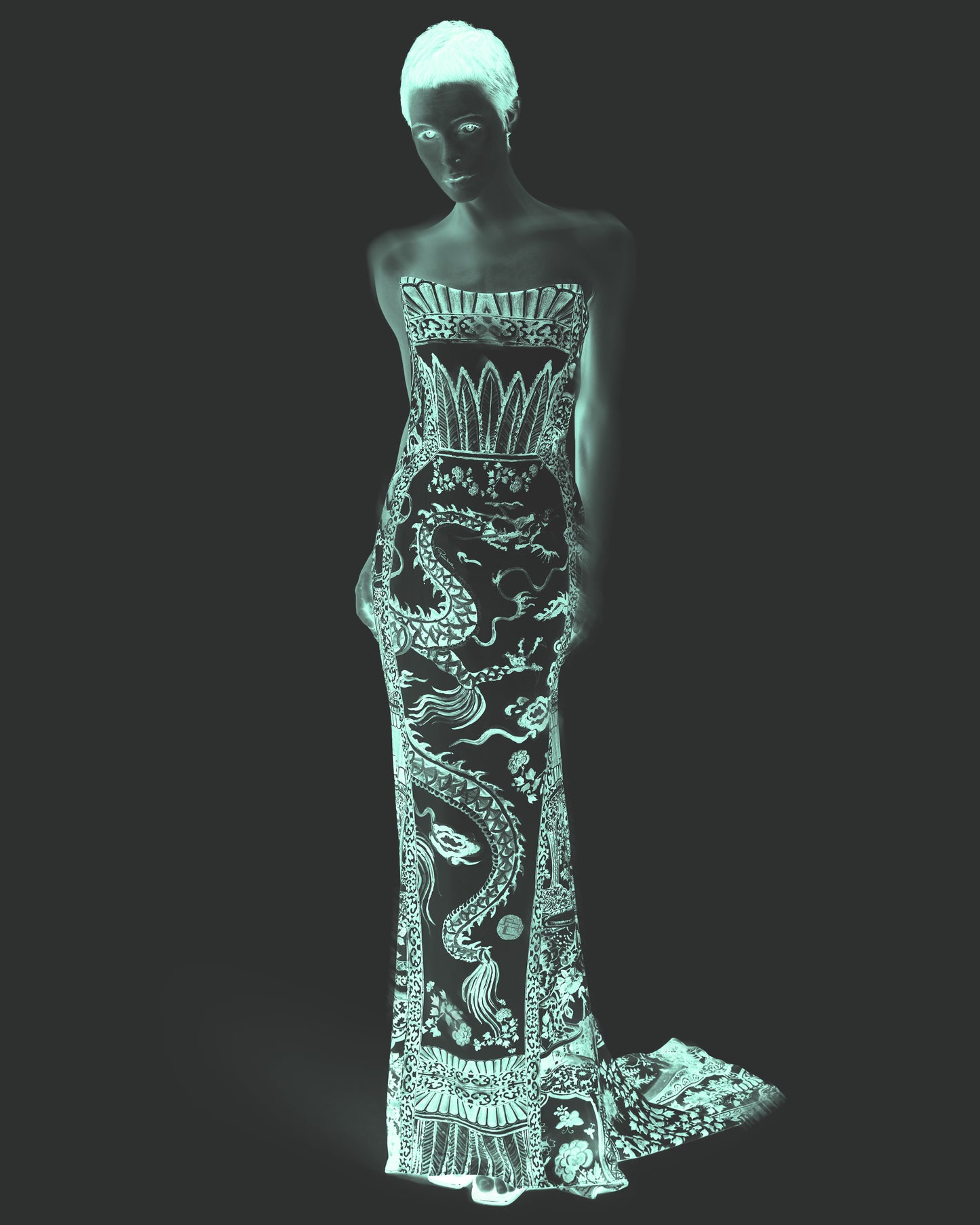 Roberto Cavalli F/W 2005-06 Ming Print Corset Gown